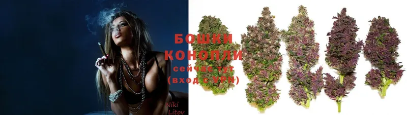 Каннабис White Widow  ссылка на мегу как войти  Саранск 